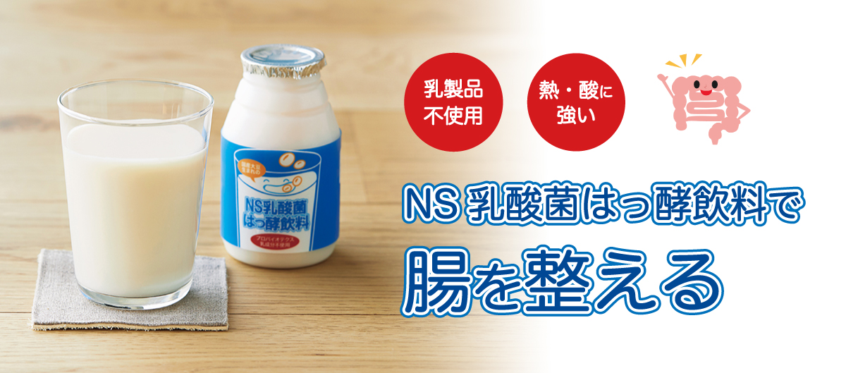 NS乳酸菌